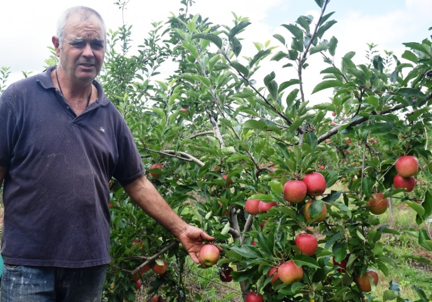 erik-manzana-buenaweb.jpg