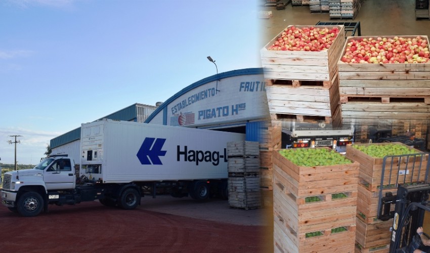 foto-tapaweb.jpg