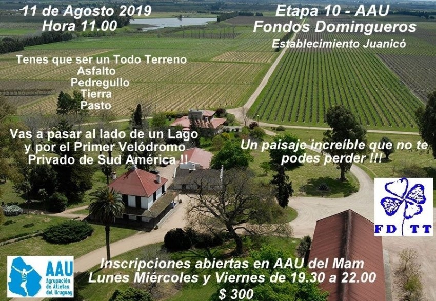 correcaminta-juanicoweb.jpg