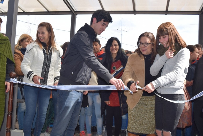 liceo-38-corte-cintaweb.jpg