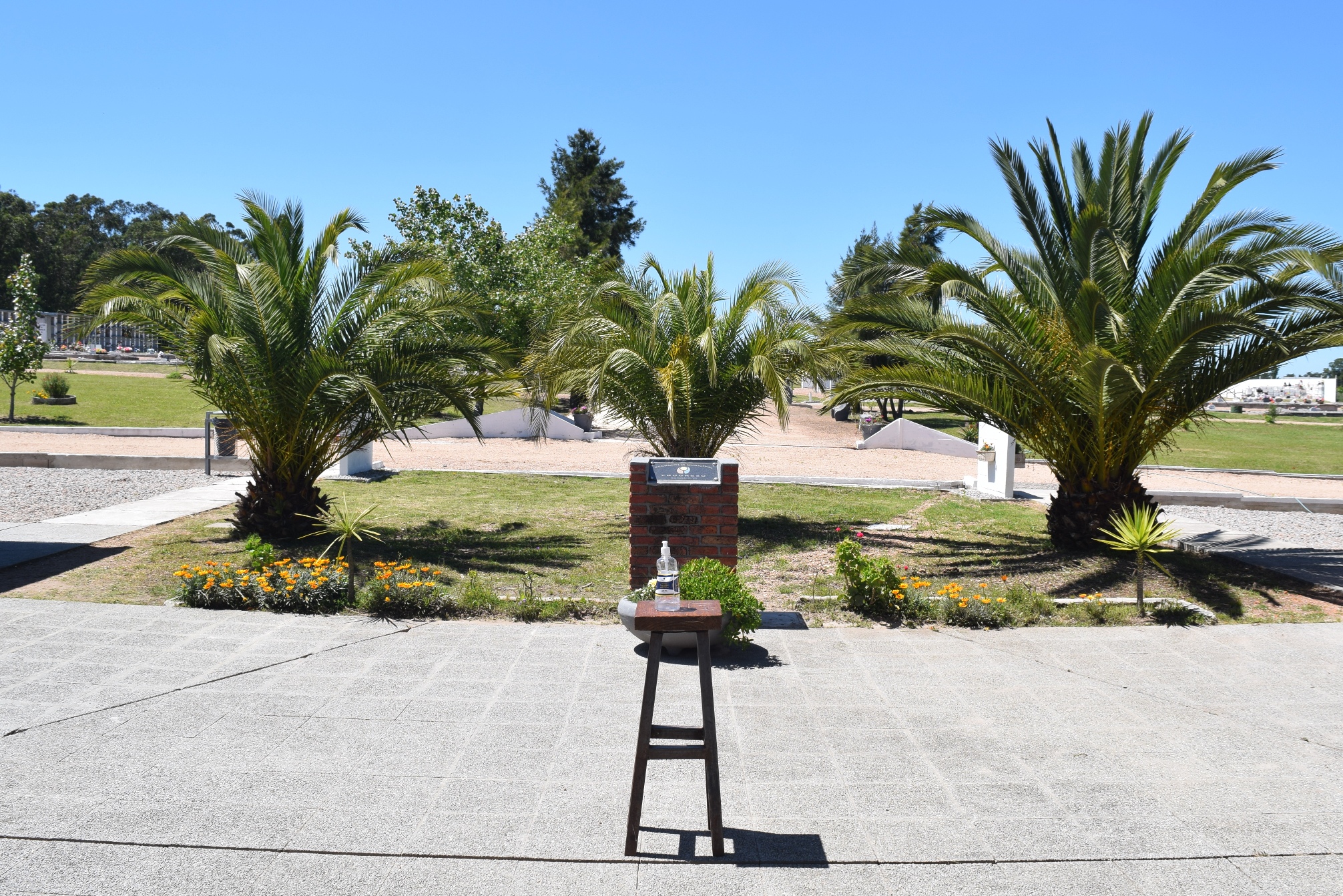 Progreso al Día • EL CEMENTERIO DE PROGRESO SE DESTACA POR SU