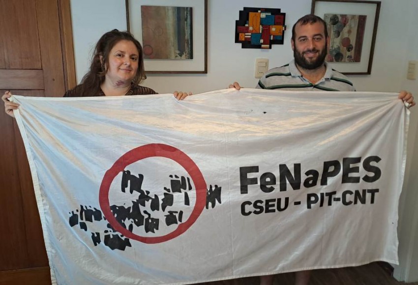 fenapes-progresoweb.jpg